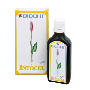 Intocel