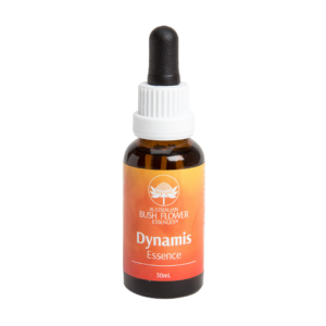 Dynamis Essence - Esence 'Životní Dynamika'