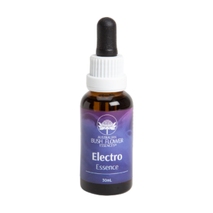 Electro Essence - Esence 'Radiace'