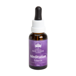 Meditation Essence - Esence 'Meditace'