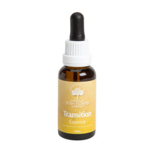 Transition Essence - Esence 'Změna'