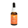 Boost Essence - Esence 'Podpora'