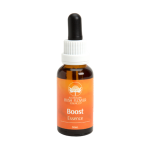 Boost Essence - Esence 'Podpora'