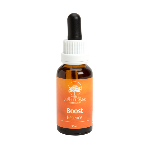 Boost Essence - Esence 'Podpora'