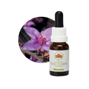 Boronia