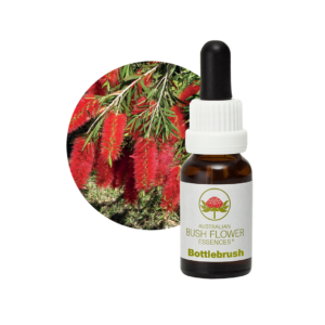 Bottlebrush