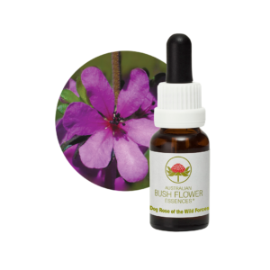 Dog Rose of Wild Forces