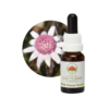 Pink Flannel Flower