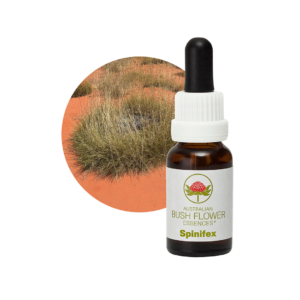 Spinifex