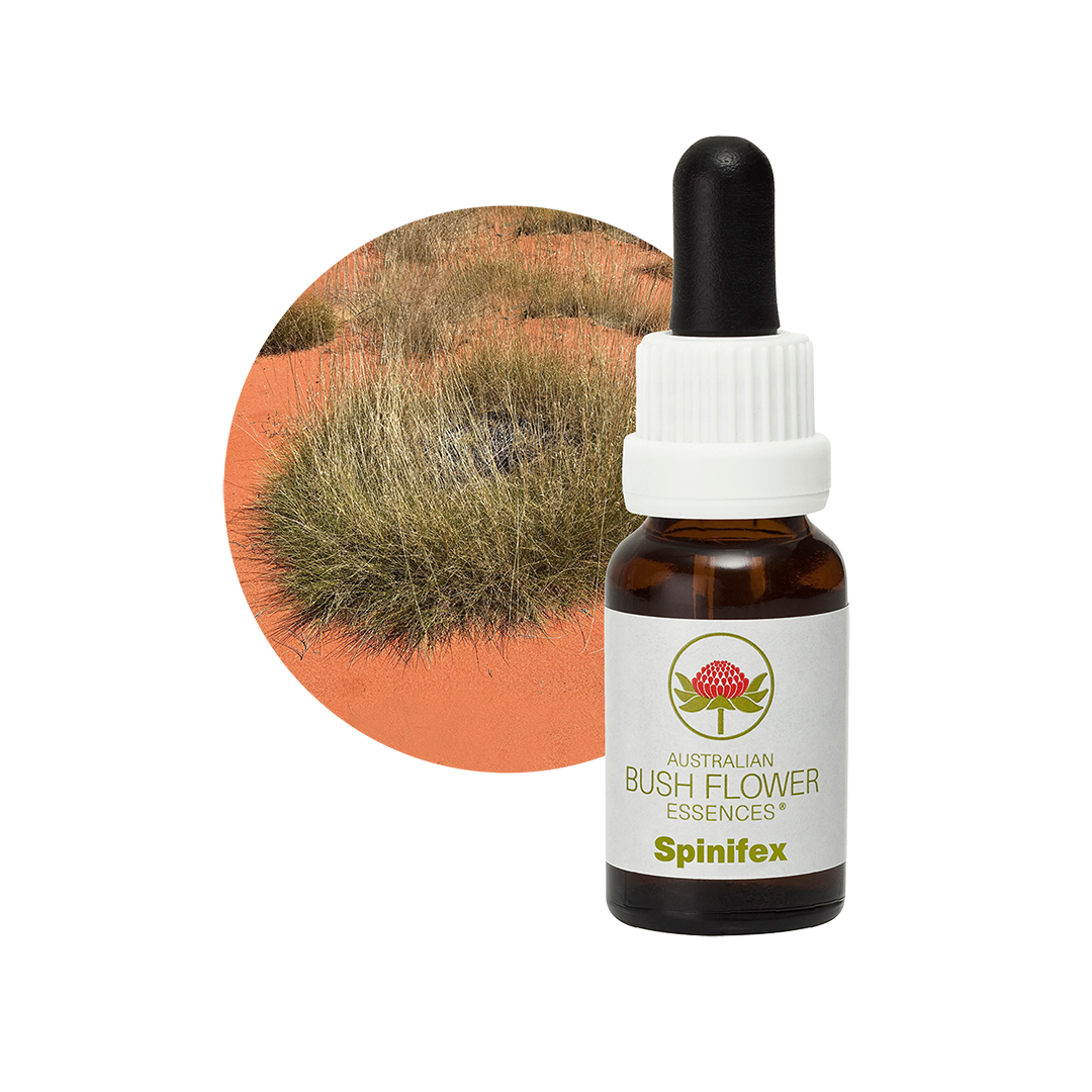 Spinifex