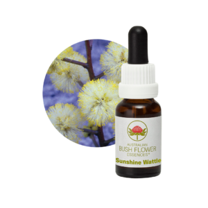 Sushine Wattle